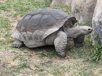Oakland Zoo photo 6
