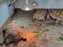 Hutchinson Zoo