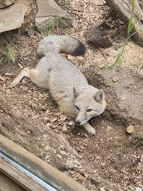 Hutchinson Zoo photo 3