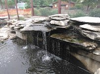 Hutchinson Zoo photo 4