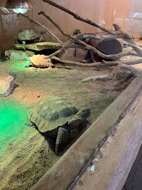 Hutchinson Zoo photo 6
