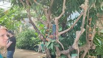 Butterfly Pavilion photo 2