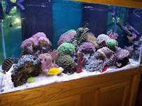 The Fish Guys photo 2