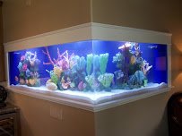 The Fish Guys photo 3