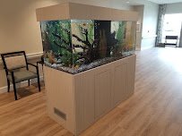 The Fish Guys photo 4