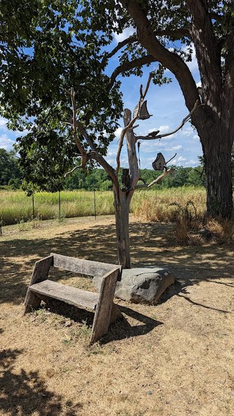Hudson Highlands Nature Museum photo 4