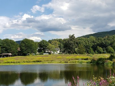 Hudson Highlands Nature Museum photo 6