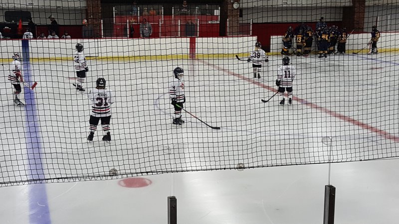 Veterans Memorial Arena photo 4