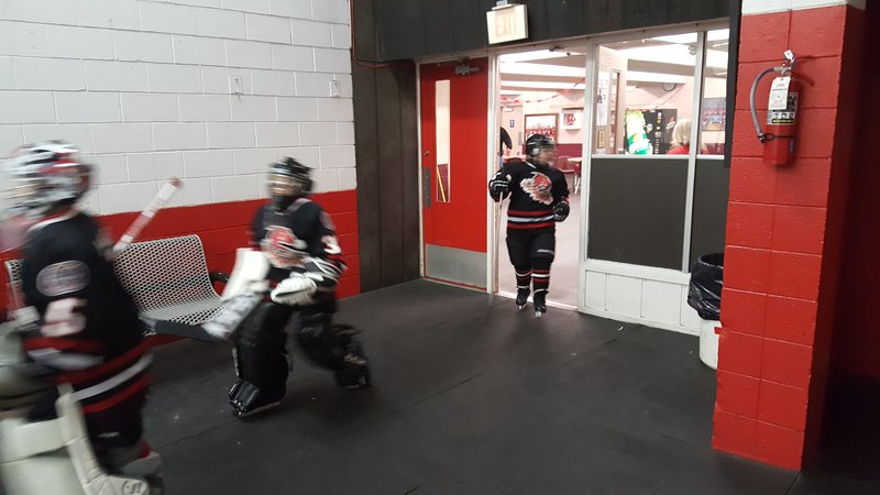 Veterans Memorial Arena photo 5