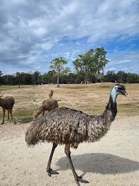 Aggieland Safari photo 5