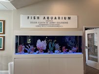 Oceans Aquarium Design