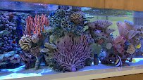 Oceans Aquarium Design photo 2