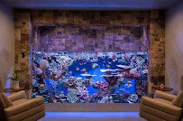 Oceans Aquarium Design photo 3
