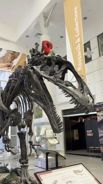 Virginia Museum of Natural History photo 2