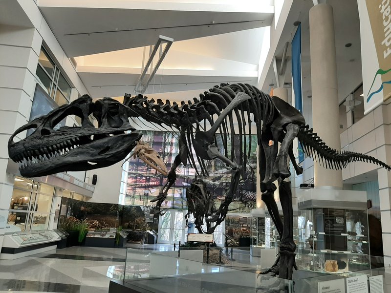 Virginia Museum of Natural History photo 3