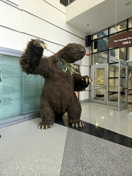 Virginia Museum of Natural History photo 5