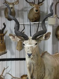 Grice Clearfield Community Museum photo 5