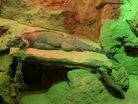 Henry Vilas Park Zoological Society