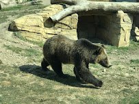 Henry Vilas Park Zoological Society photo 2