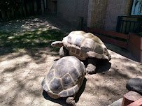 Henry Vilas Park Zoological Society photo 3