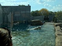 Henry Vilas Park Zoological Society photo 4