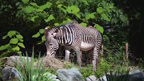 Smithsonian National Zoological Park photo 2