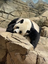 Smithsonian National Zoological Park photo 3