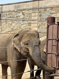 Smithsonian National Zoological Park photo 5