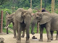 Smithsonian National Zoological Park photo 6