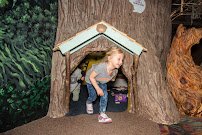 Upper Peninsula Children's Museum photo 6