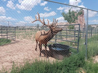Navajo Nation Zoo photo 4