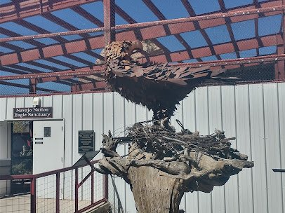 Navajo Nation Zoo photo 6