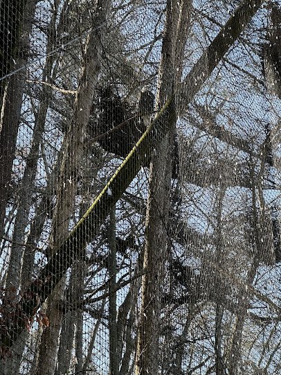 Eagle Mountain Sanctuary photo 4