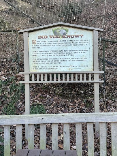 Eagle Mountain Sanctuary photo 5