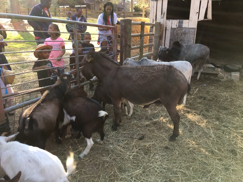 Big Boot Ranch Inc photo 3