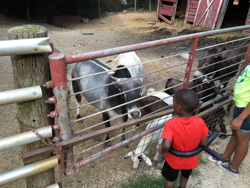 Big Boot Ranch Inc photo 4