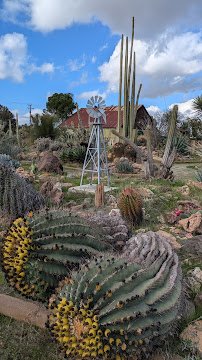 Fresno Discovery Center photo 6
