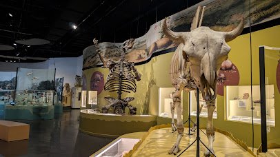 The Charleston Museum photo 4