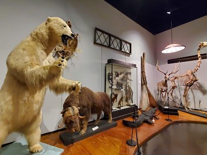 The Charleston Museum photo 5