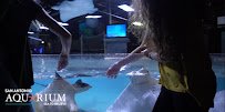 San Antonio Aquarium