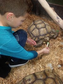 San Antonio Aquarium photo 3