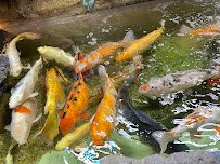 San Antonio Aquarium photo 6