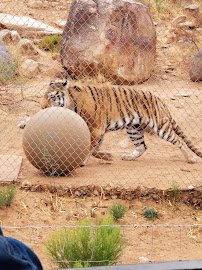 Keepers of the Wild Nature Park photo 5