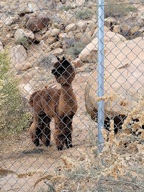Keepers of the Wild Nature Park photo 6