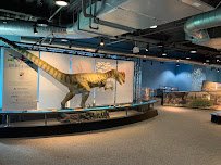 Boston Children's Museum photo 6