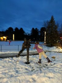Family Ice Center photo 6