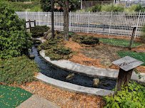 Glen's Mini Golf photo 4