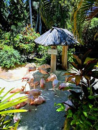 Great Explorations Children's Museum photo 5