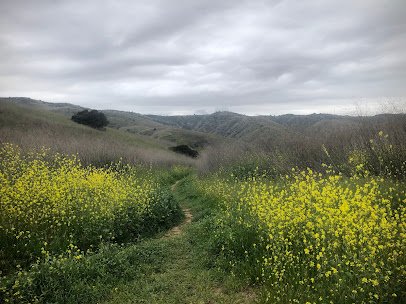 Chino Hills State Park - Discovery Center Entrance photo 6