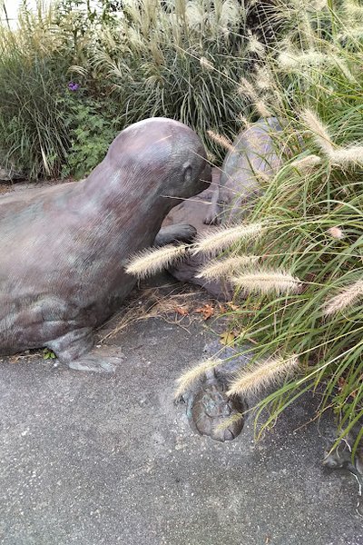 Lower Side Water Park photo 6